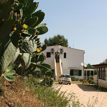 Agriturismo Affittacamere Atlhos Vieste Exterior foto